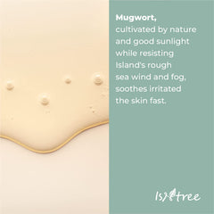 ISNTREE Mugwort calming Ampoule 50ml 1.69 fl.oz | Soothes sensitive skin | Replenishes moisture