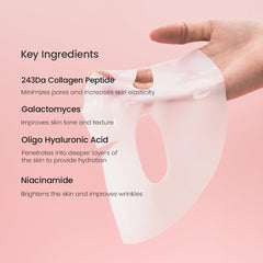 BIODANCE Bio-Collagen Real Deep Mask, Hydrating Overnight Mask, Pore Minimizing, Elasticity Improvement, 34g x4ea