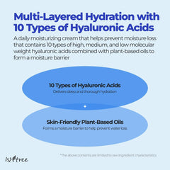 ISNTREE Hyaluronic Acid Moist Cream 100ml, 3.38 fl.oz | Korean Skincare | Deep Hydration for Dry Skin | Balances Oil & Moisture | Lightweight & Non-Greasy | Fragrance-Free