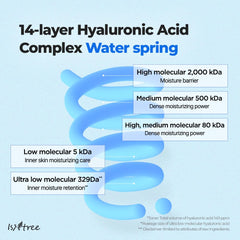 ISNTREE Ultra-Low Molecular Hyaluronic Acid Toner 300ml, 10.14 fl.oz | Korean Skincare | Quick Absorbing | Deep Hydration & Skin Smoothing | Vegan & Fragrance-Free