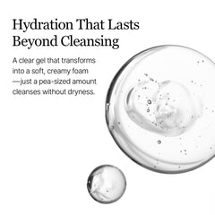 ROUND LAB Birch Juice Moisturizing Cleanser | Unclogs hidden sebum, Clears away dead skin cells., Soothing, Low pH, Gel Type Cleanser (5.07 fl.oz)