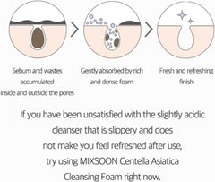 Mixsoon Centella cleansing foam 150ml