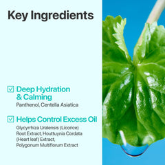 numbuzin No.1 Toner | Pure-Full Calming Herb Toner | Breakouts, Redness, Excess Oil Control, Blackhead Removal | Centella Asiatica, Heartleaf, Licorice Root | Acne-Prone, Sensitive Skin | 300ml