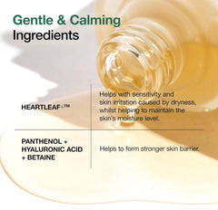 Anua PDRN Hyaluronic Acid Capsule 100 Serum, Radiant Face Serum, Hyaluronic Acid, Hydration, Moisture Plumping effect, Natural color, Fragrance free, Korean Skincare, 30ml / 1.01 fl. oz (Peach)