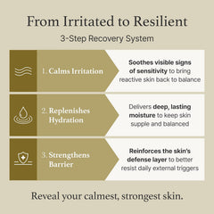 I'm From Mugwort Essence, for acne prone skin