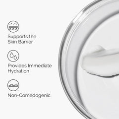 The Ordinary Natural Moisturizing Factors plus HA - Large 100 mL