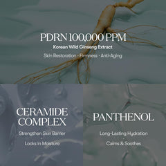 VT COSMETICS PDRN 100 Essence, Korean Gingseng Plant-derived PDRN Serum for Natural Glow, Korean skincare 1.01 fl. Oz.