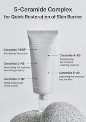 celimax Dual Barrier Skin Wearable Cream | Long Lasting Cream Face Moisturizer with Ceramides, Hyaluronic Acid, Moisturizing, Hydrating, Soothing, Repairing, Day & Night Cream, 50ml