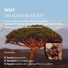 VT COSMETICS Reti-A Reedle Shot 100 Serum with Retinol (Vitamin A) & Repairing Exosome Microneedling Formula, Korean Skin Booster, 1.69 fl oz(50ml)