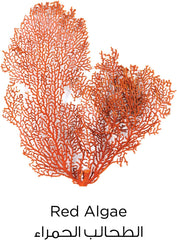 L’Oréal Paris Pure Clay Red Face Wash With Red Algae, Exfoliates & Brightens, 150 ml