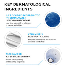Toleriane Dermo Milky Cleanser